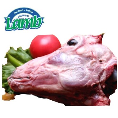 Ontario Lamb羔羊羊头 1个