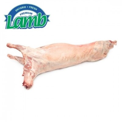 安省本地小羔羊（整羊）约40-45磅，特价$11.99/磅，原价$12.99/磅（称重计价多退少补）