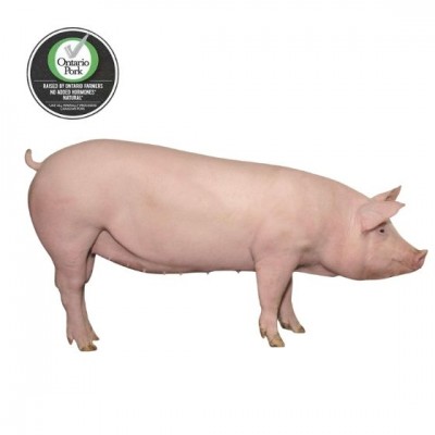 Ontario Pork 安省本地农场全自然整猪（无内脏）$2.99/磅，约190-199lb称重计价多退少补